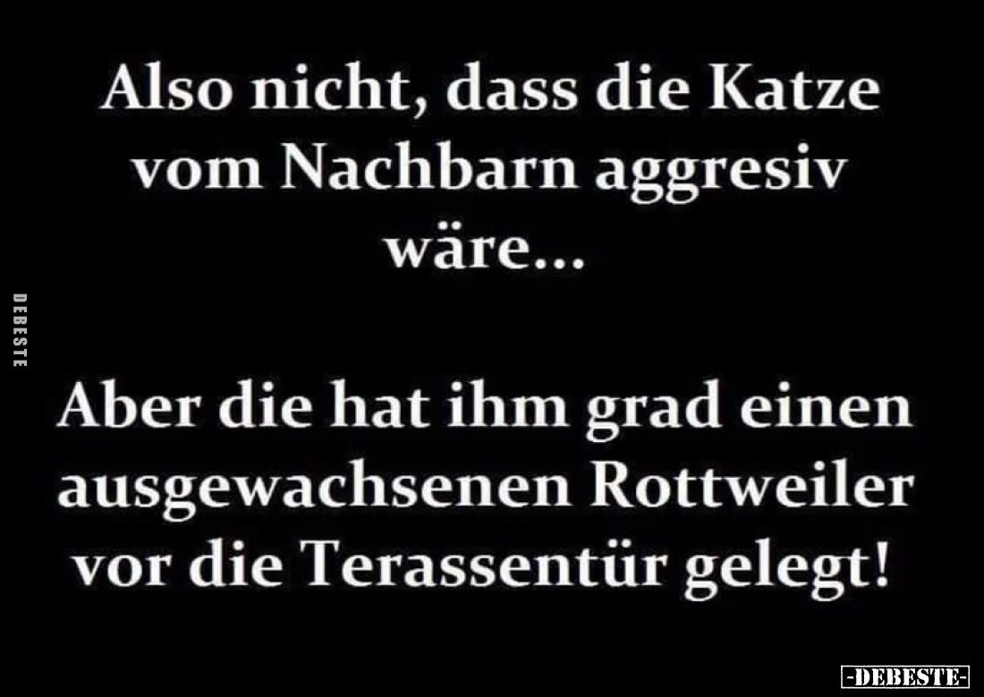 Also nicht, dass die Katze vom Nachbarn aggresiv wäre...
Aber die hat ihm Grad einen ausgewachsenen Rottweiler vor die Teras...