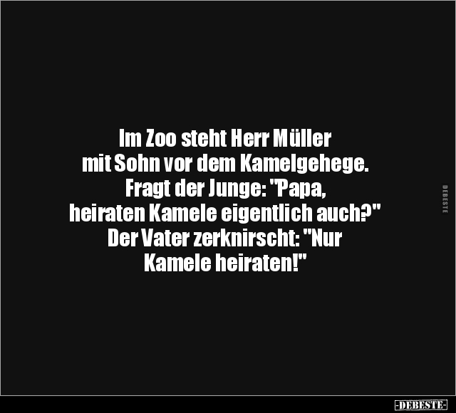 Im Zoo steht Herr Müller.. - Lustige Bilder | DEBESTE.de