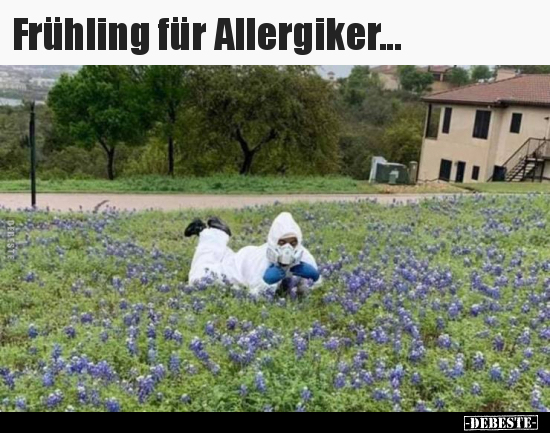 Frühling für Allergiker..