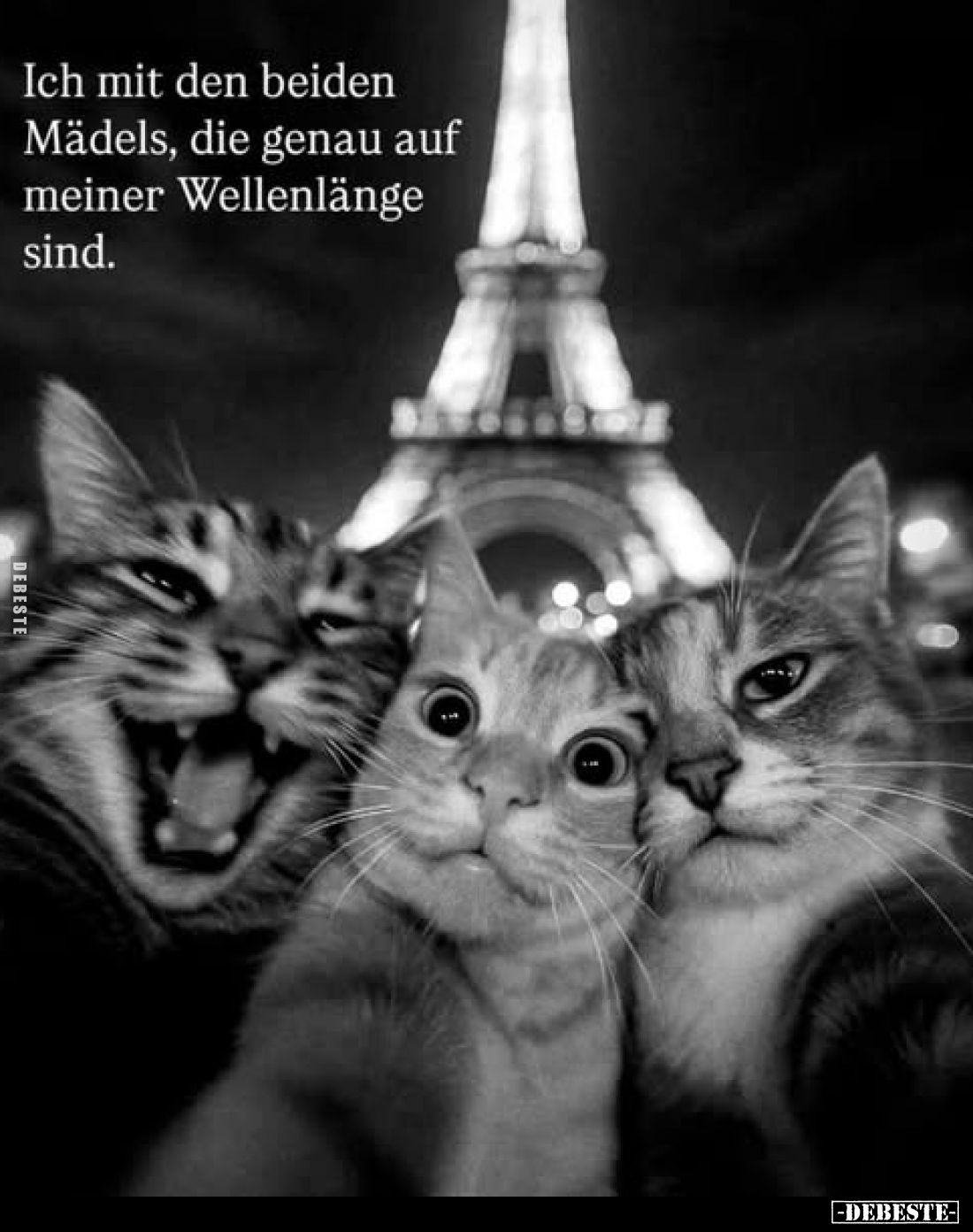 Ich mit den beiden Mädels, die genau auf meiner Wellenlänge sind.