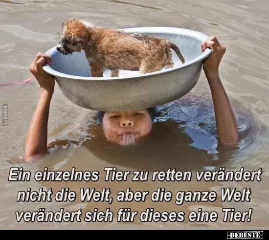 Ein einzelnes Tier zu retten verändert nicht die Welt, aber..