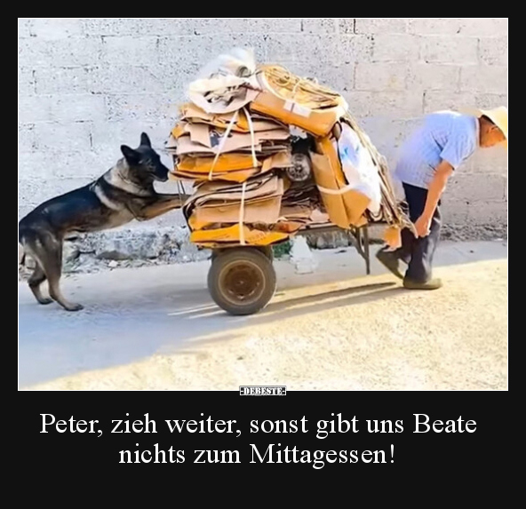 Peter, zieh weiter, sonst gibt uns Beate nichts zum.. - Lustige Bilder | DEBESTE.de