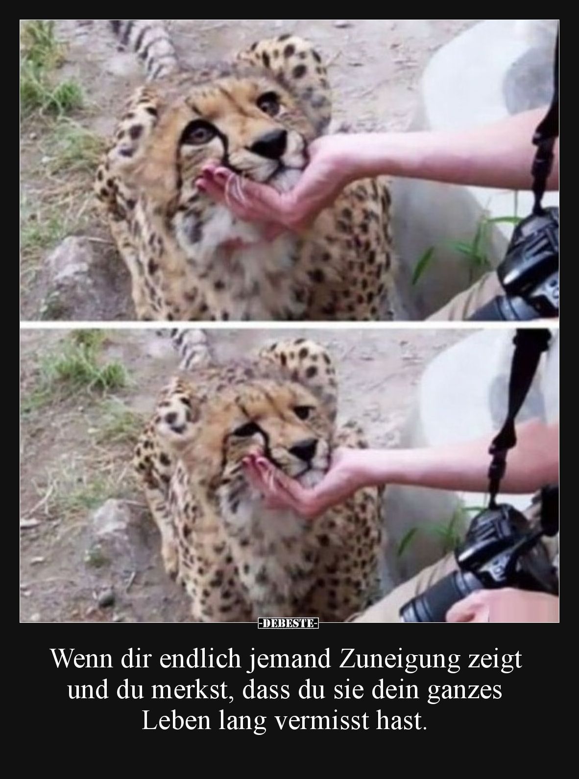 Wenn dir endlich jemand Zuneigung zeigt und du merkst, dass du sie dein ganzes Leben lang vermisst hast.