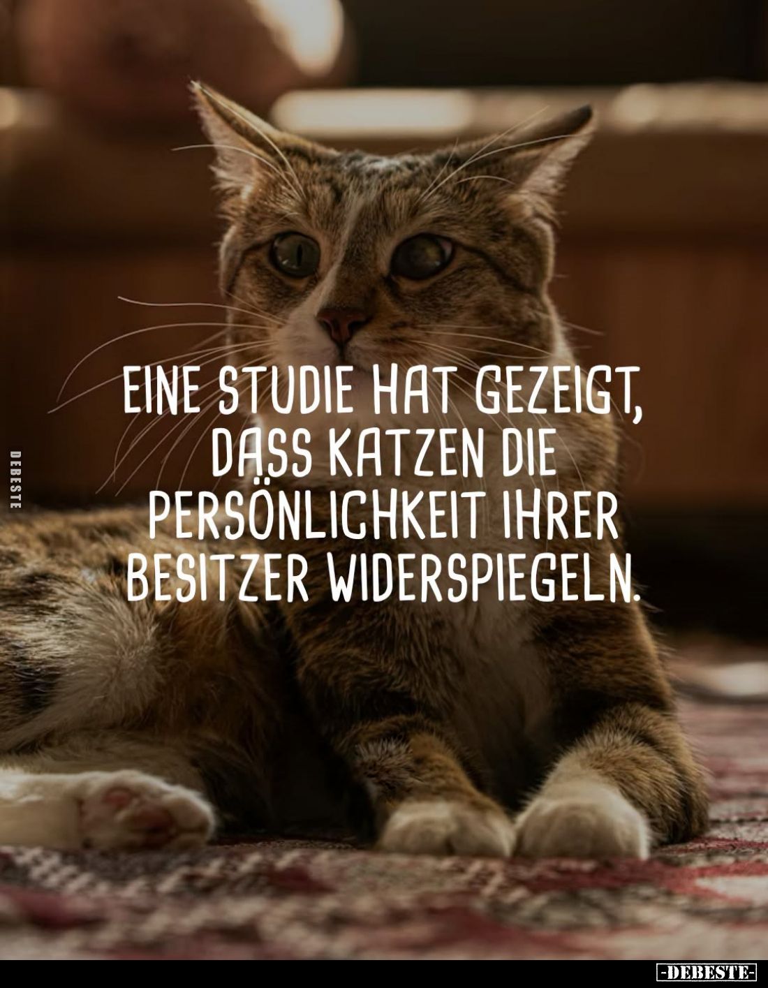 Eine Studie hat gezeigt, dass Katzen die Persönlichkeit.. - Lustige Bilder | DEBESTE.de
