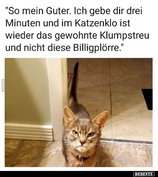 "So mein Guter. Ich gebe dir drei Minuten und im Katzenklo.." - Lustige Bilder | DEBESTE.de