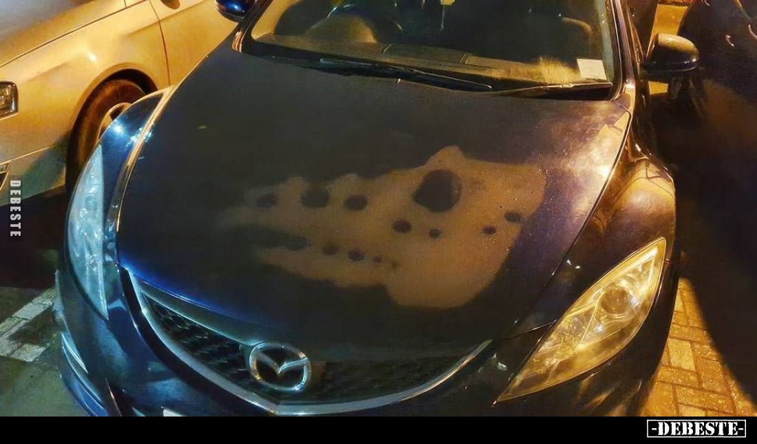  - Lustige Bilder | DEBESTE.de