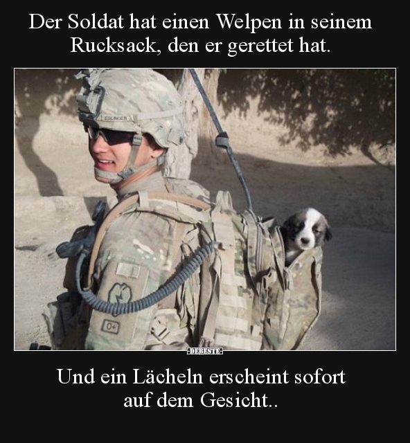 Der Soldat hat einen Welpen in seinem Rucksack, den er.. - Lustige Bilder | DEBESTE.de