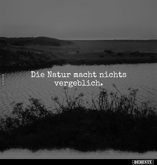 Die Natur macht nichts vergeblich... - Lustige Bilder | DEBESTE.de
