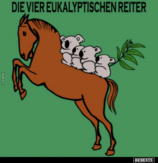 Die vier eukalyptischen Reiter.. - Lustige Bilder | DEBESTE.de