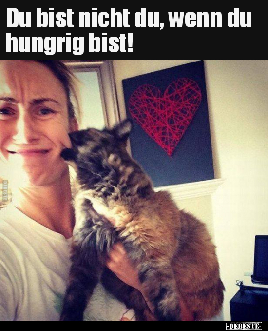 Du bist nicht du, wenn du hungrig bist!.. - Lustige Bilder | DEBESTE.de