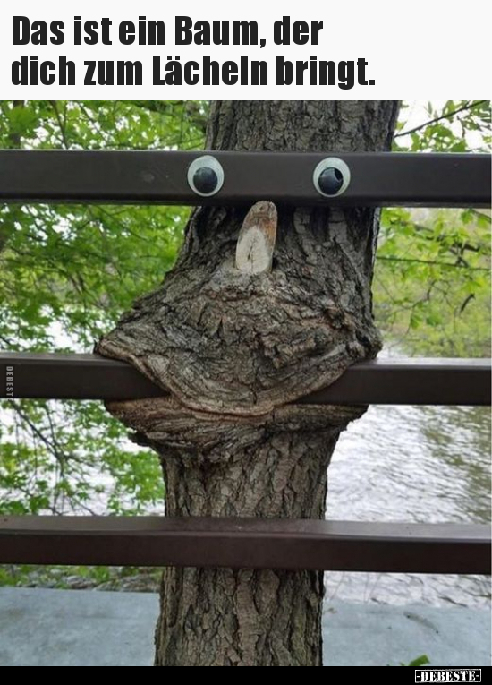 Das ist ein Baum, der dich zum Lächeln bringt...