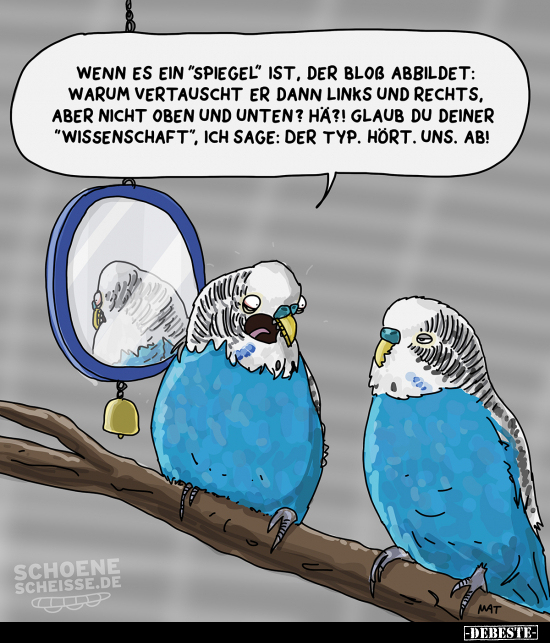 Wenn es ein "Spiegel" ist.. - Lustige Bilder | DEBESTE.de