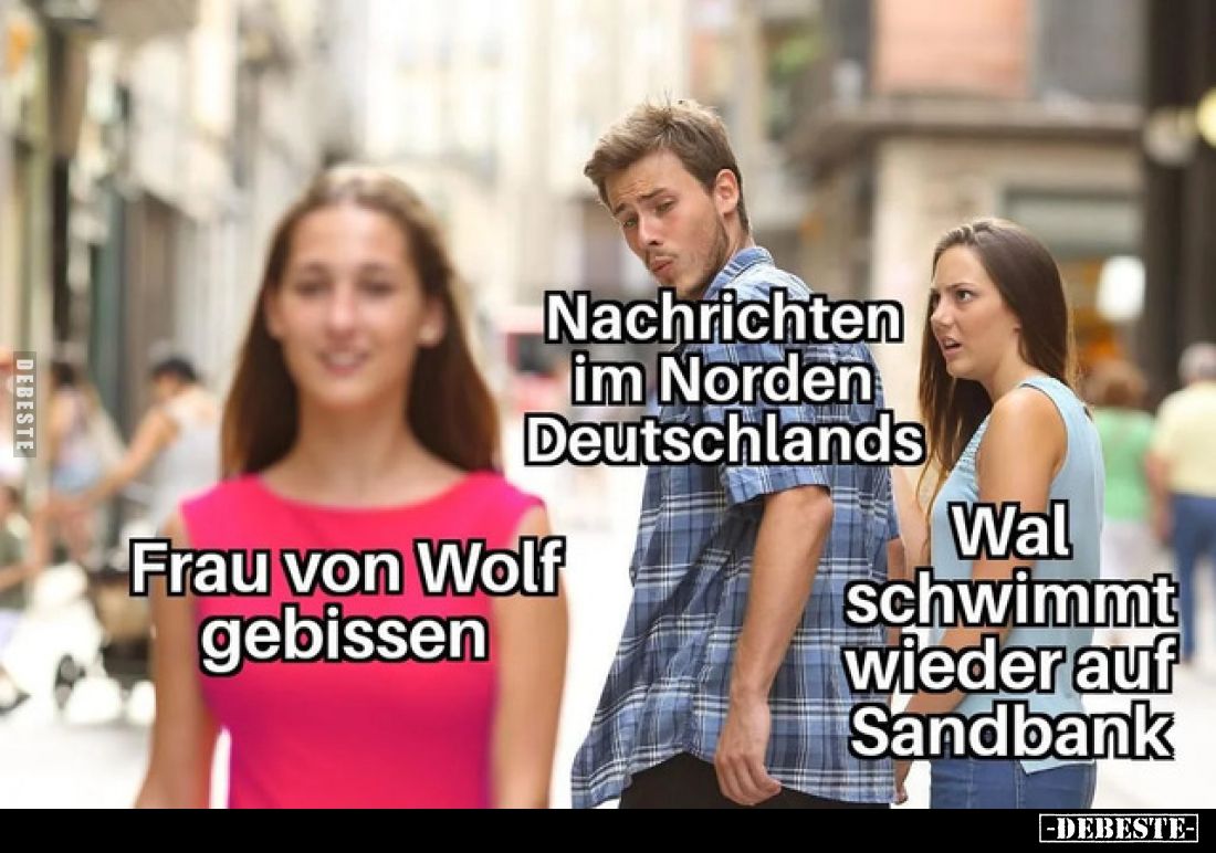  - Lustige Bilder | DEBESTE.de