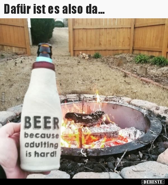 Dafür ist es also da...