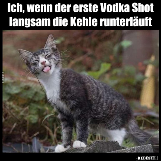 Ich, wenn der erste Vodka Shot langsam die Kehle.. - Lustige Bilder | DEBESTE.de