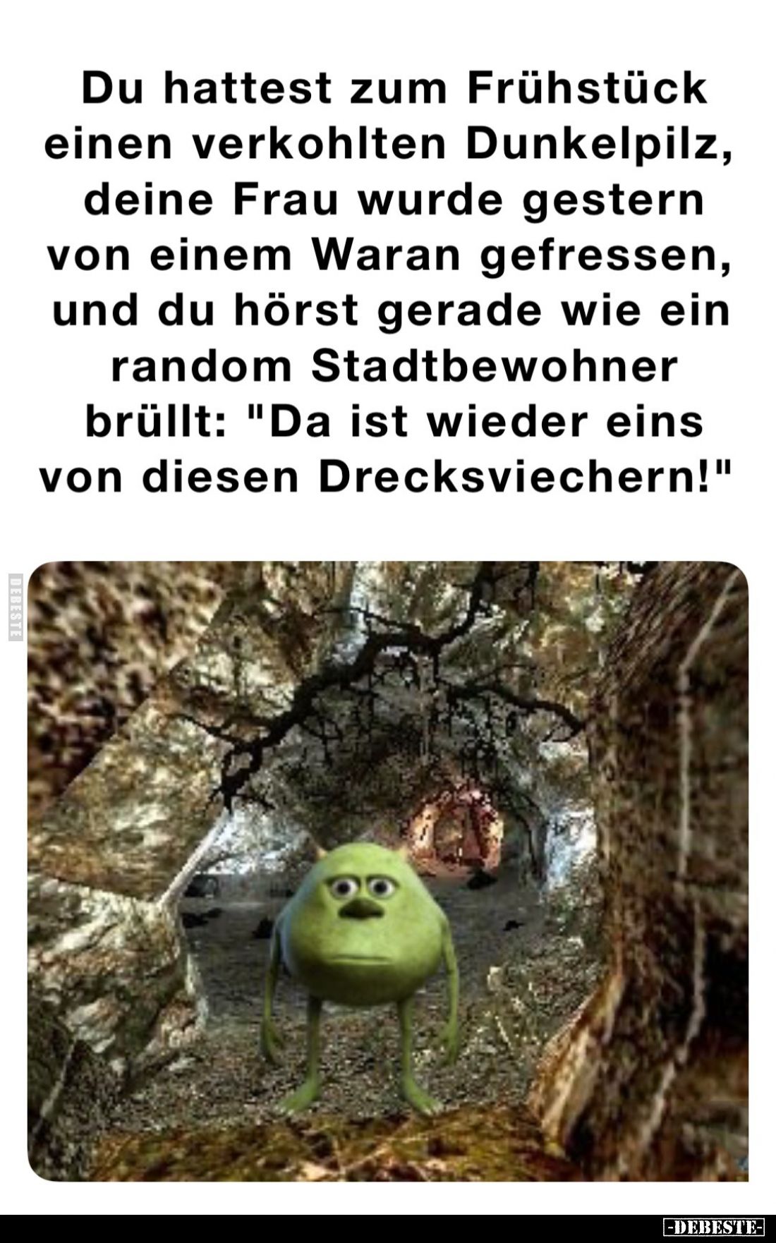 Du hattest zum Frühstück einen verkohlten Dunkelpilz, deine Frau wurde gestern von einem Waran gefressen, und du hörst gerade...