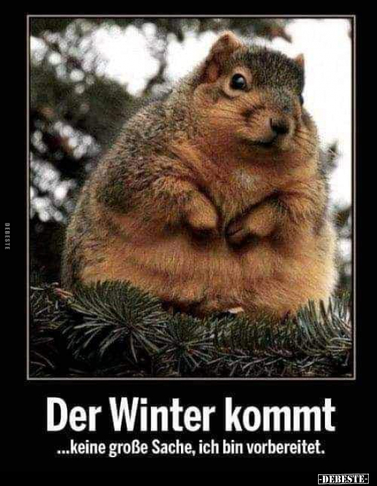 Der Winter kommt.. - Lustige Bilder | DEBESTE.de