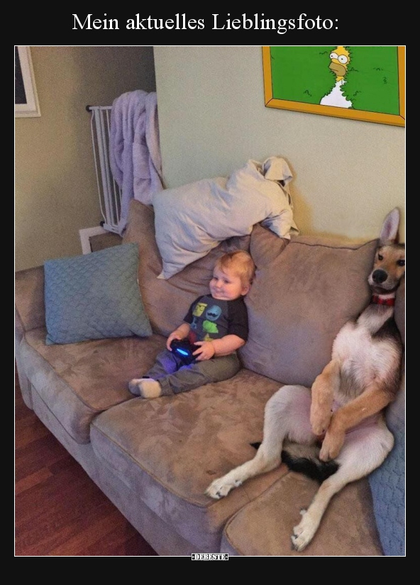 Mein aktuelles Lieblingsfoto..