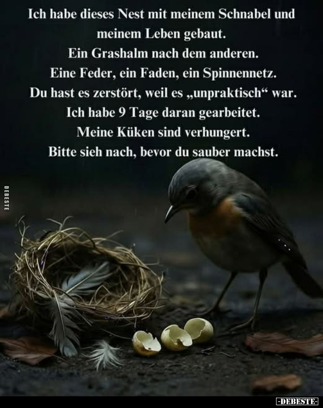 Ich habe dieses Nest mit meinem Schnabel und
meinem Leben gebaut.
Ein Grashalm nach dem anderen.
Eine Feder, ein Faden, ei...