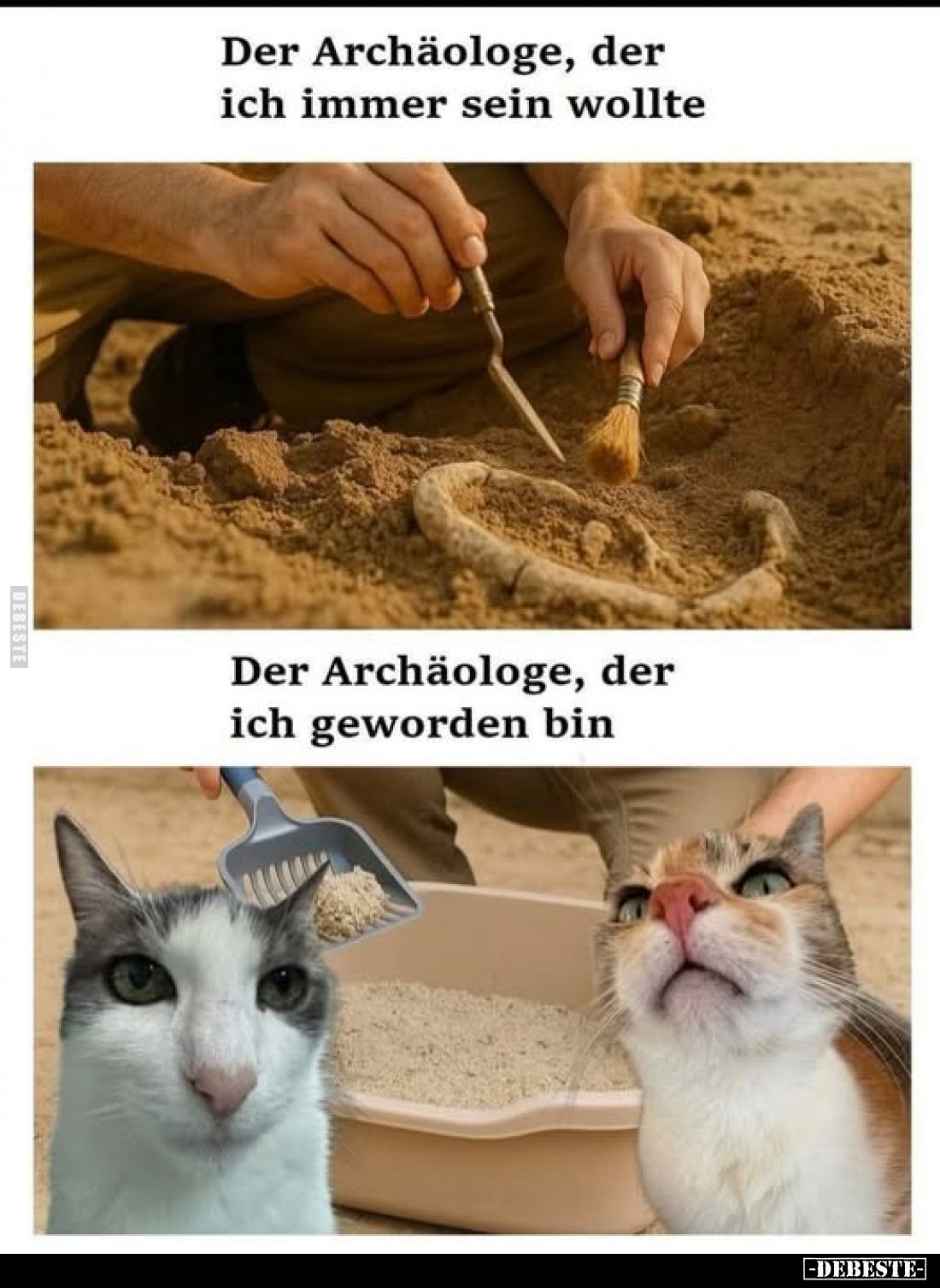 Der Archäologe, der ich immer sein wollte. -
Der Archäologe, der ich geworden bin.