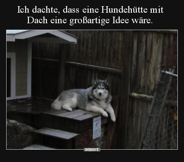 Ich dachte, dass eine Hundehütte mit Dach eine großartige.. - Lustige Bilder | DEBESTE.de