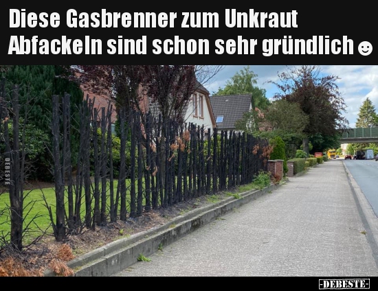 Diese Gasbrenner zum Unkraut Abfackeln sind schon sehr.. - Lustige Bilder | DEBESTE.de