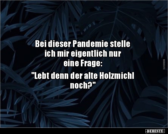 Bei dieser Pandemie stelle ich mir eigentlich nur.. - Lustige Bilder | DEBESTE.de