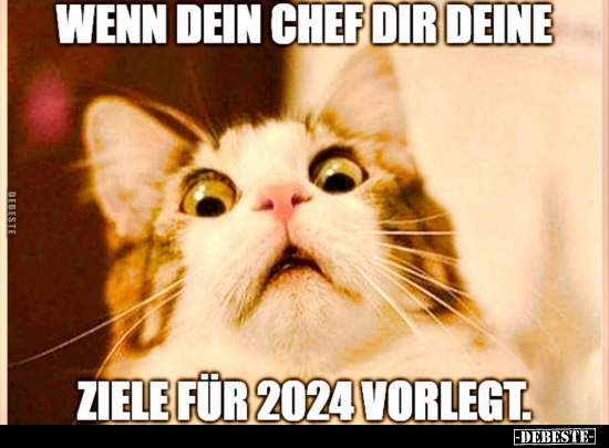 Wenn dein Chef dir deine Ziele für 2024 vorlegt... - Lustige Bilder | DEBESTE.de