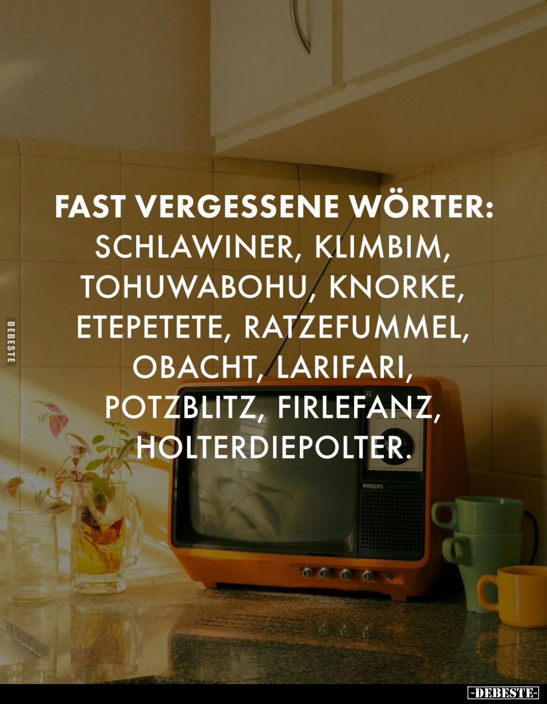 Fast vergessene Wörter:
Schlawiner, Klimbim, Tohuwabohu, Knorke, Etepetete, Ratzefummel, Obacht, Larifari, Potzblitz, Firlef...