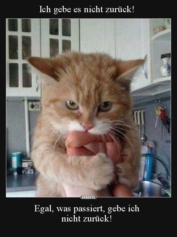 Ich gebe es nicht zurück!.. - Lustige Bilder | DEBESTE.de