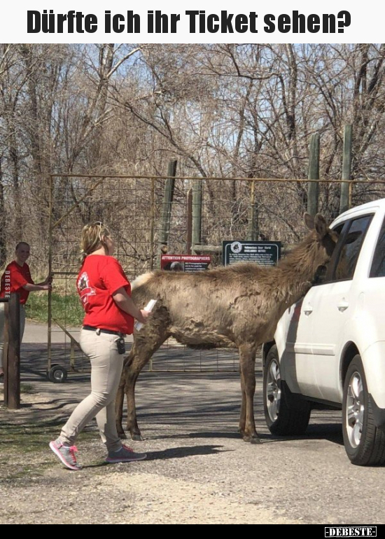 Dürfte ich ihr Ticket sehen?..