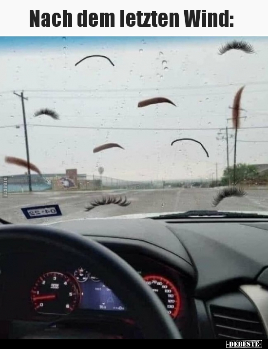 Nach dem letzten Wind: