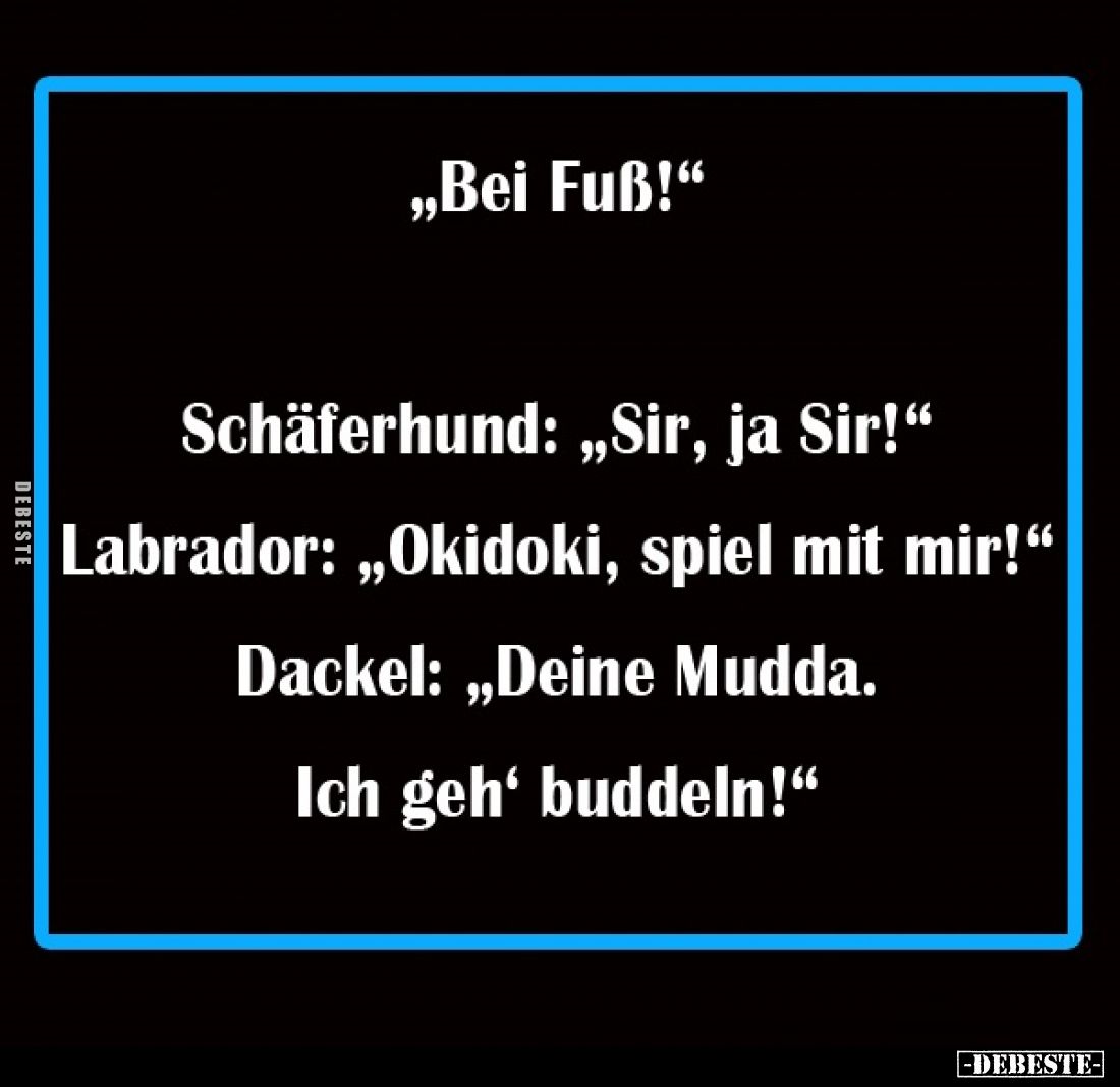 "Bei Fuß!" -
Schäferhund: "Sir, ja Sir!" -
Labrador: "Okidoki, spiel mit mir!" -
Dackel: &qu...