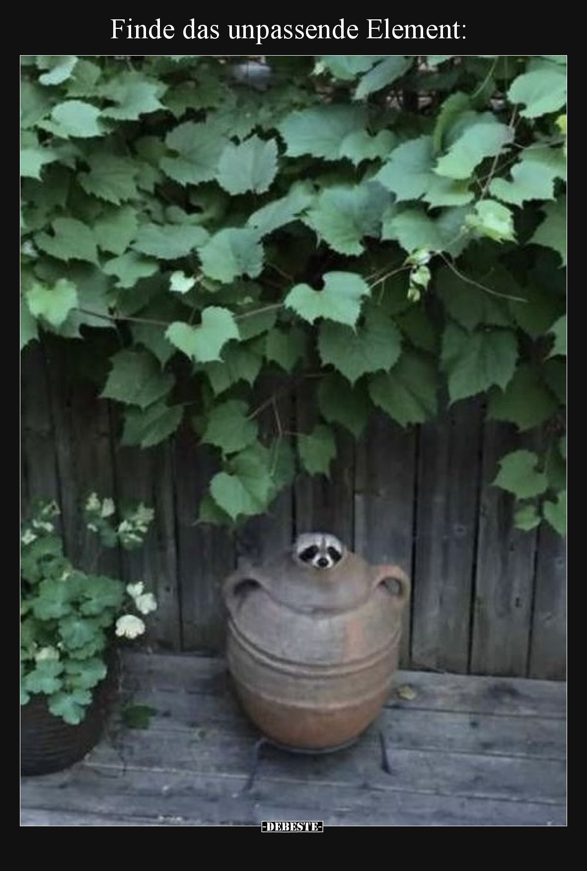 Finde das unpassende Element: