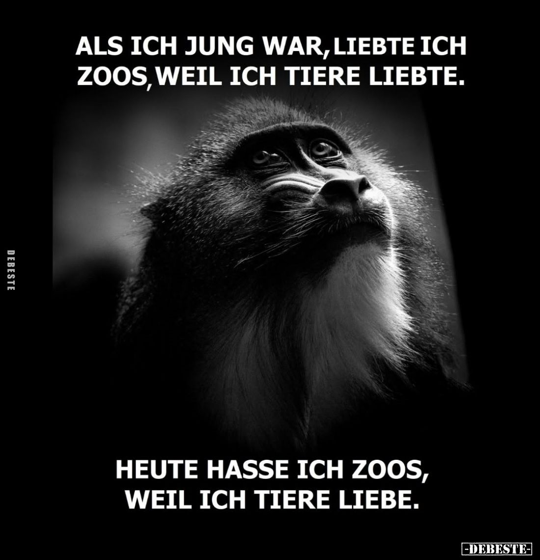 Als ich jung war, liebte ich Zoos, weil ich Tiere liebte.
Heute hasse ich Zoos, weil ich Tiere liebe.