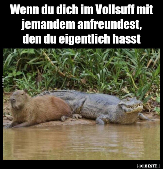 Wenn du dich im Vollsuff mit jemandem anfreundest, den du..