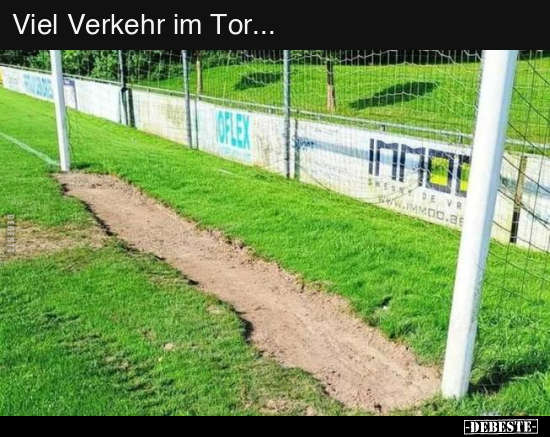 Viel Verkehr im Tor... - Lustige Bilder | DEBESTE.de