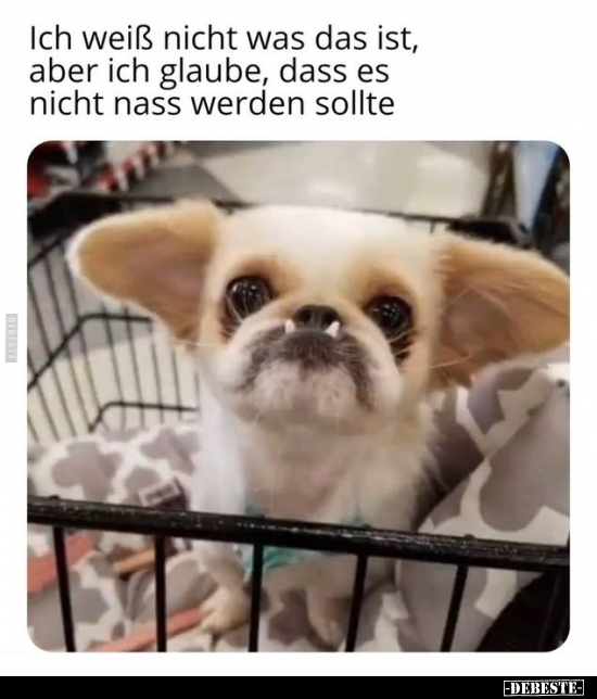 Ich weiß nicht was das ist, aber ich glaube, dass es nicht..