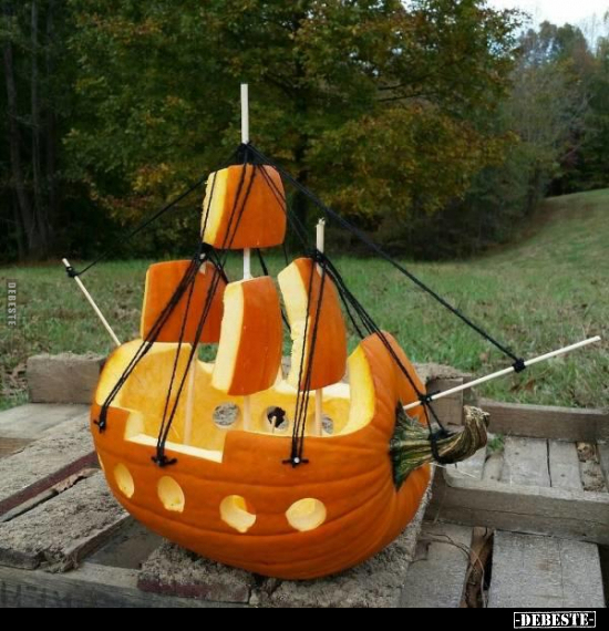  - Lustige Bilder | DEBESTE.de