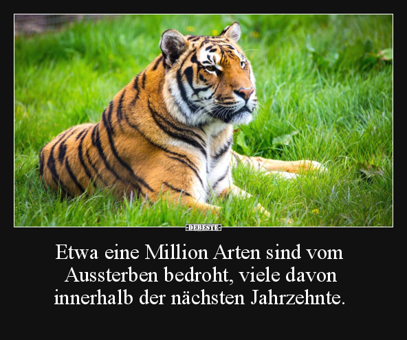 Etwa eine Million Arten sind vom Aussterben.. - Lustige Bilder | DEBESTE.de