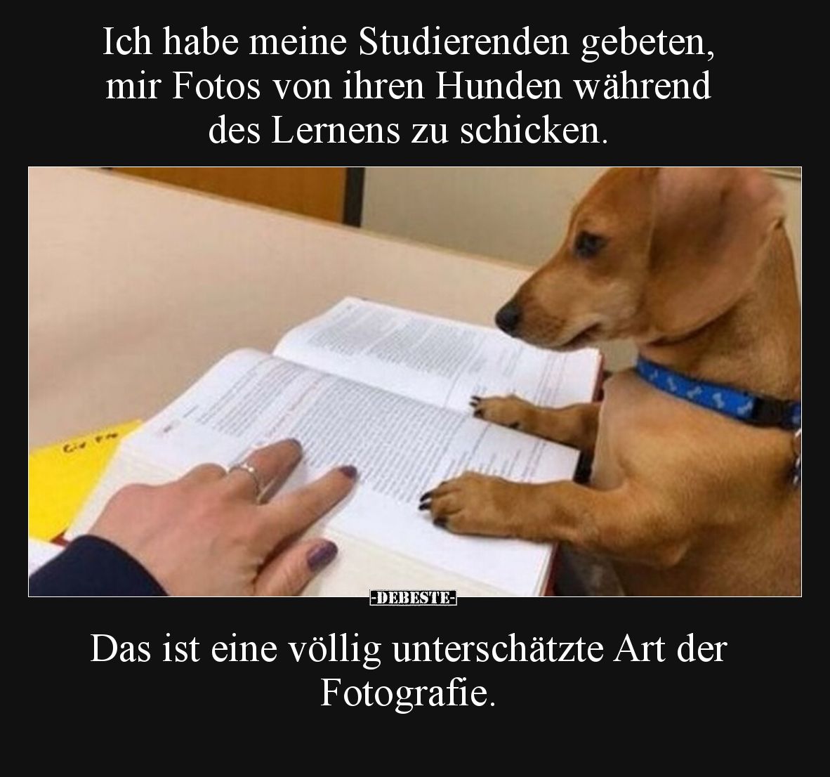 Ich habe meine Studierenden gebeten, mir Fotos von ihren.. - Lustige Bilder | DEBESTE.de