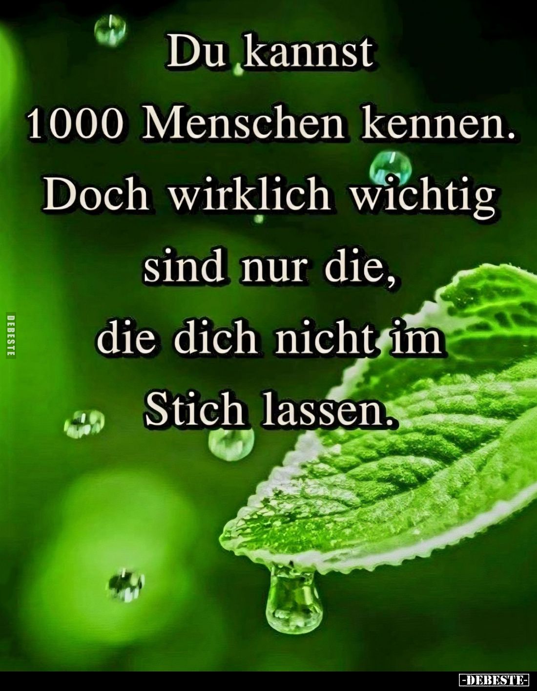Du kannst 1000 Menschen kennen.
Doch wirklich wichtig sind nur die, die dich nicht im Stich lassen.