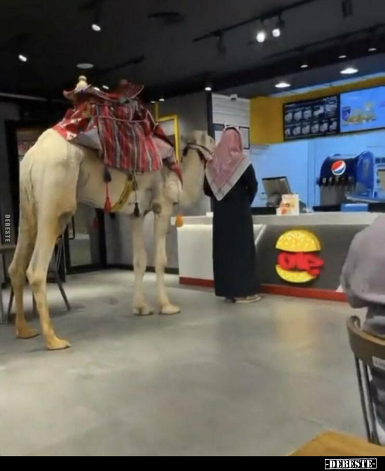  - Lustige Bilder | DEBESTE.de