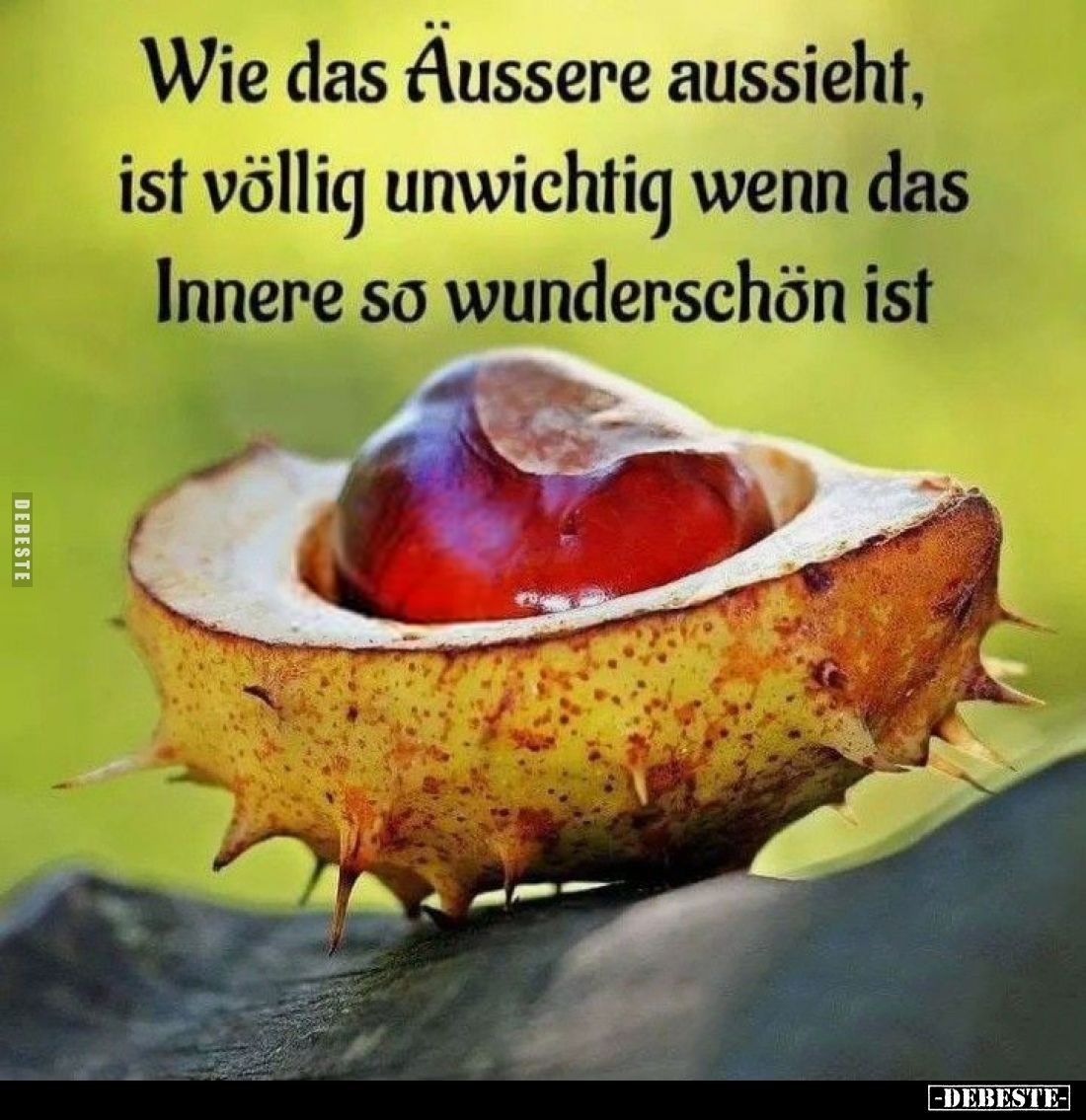 Wie das Äussere aussieht, ist völlig unwichtig wenn das Innere so wunderschön ist.