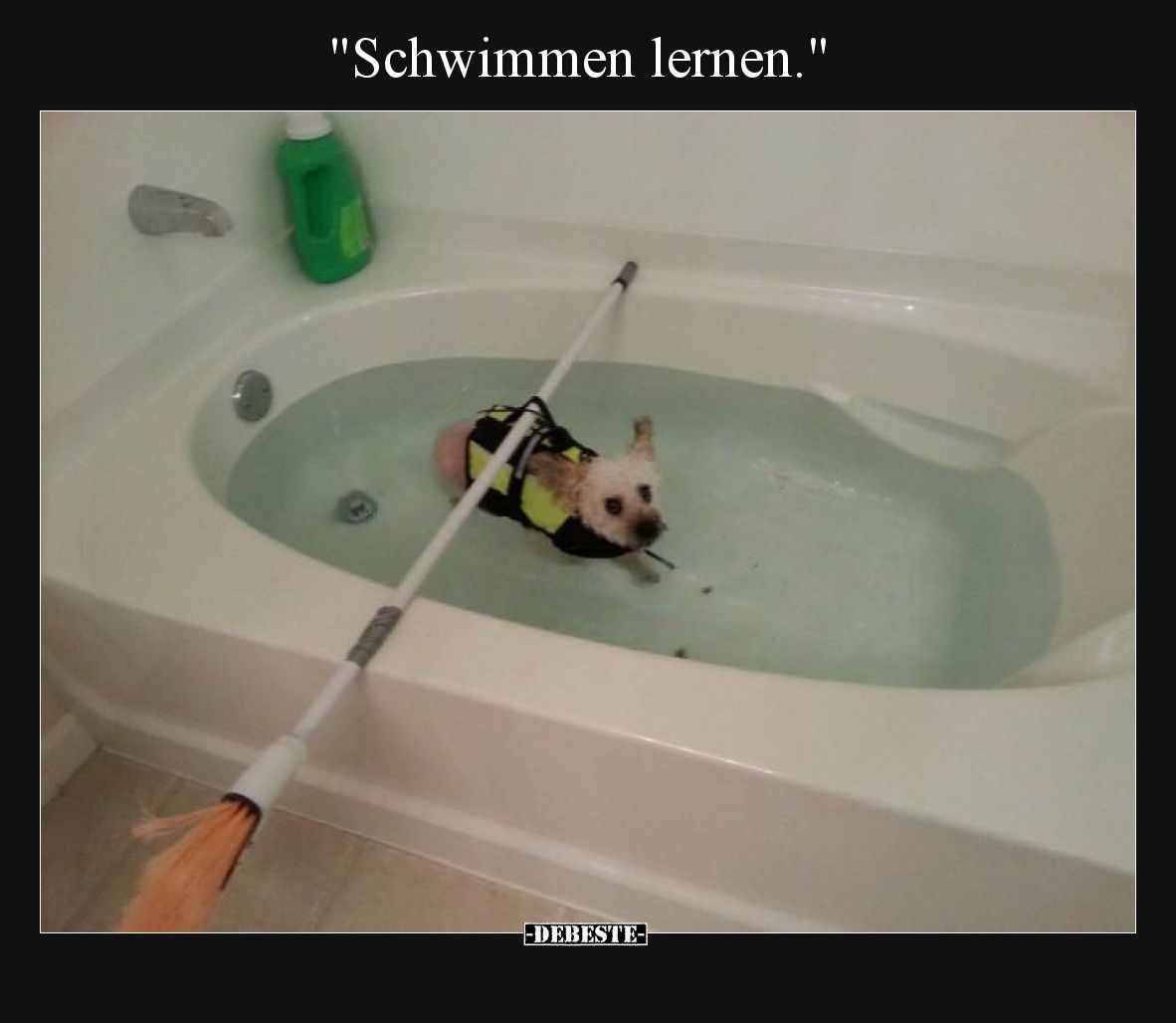Schwimmen lernen