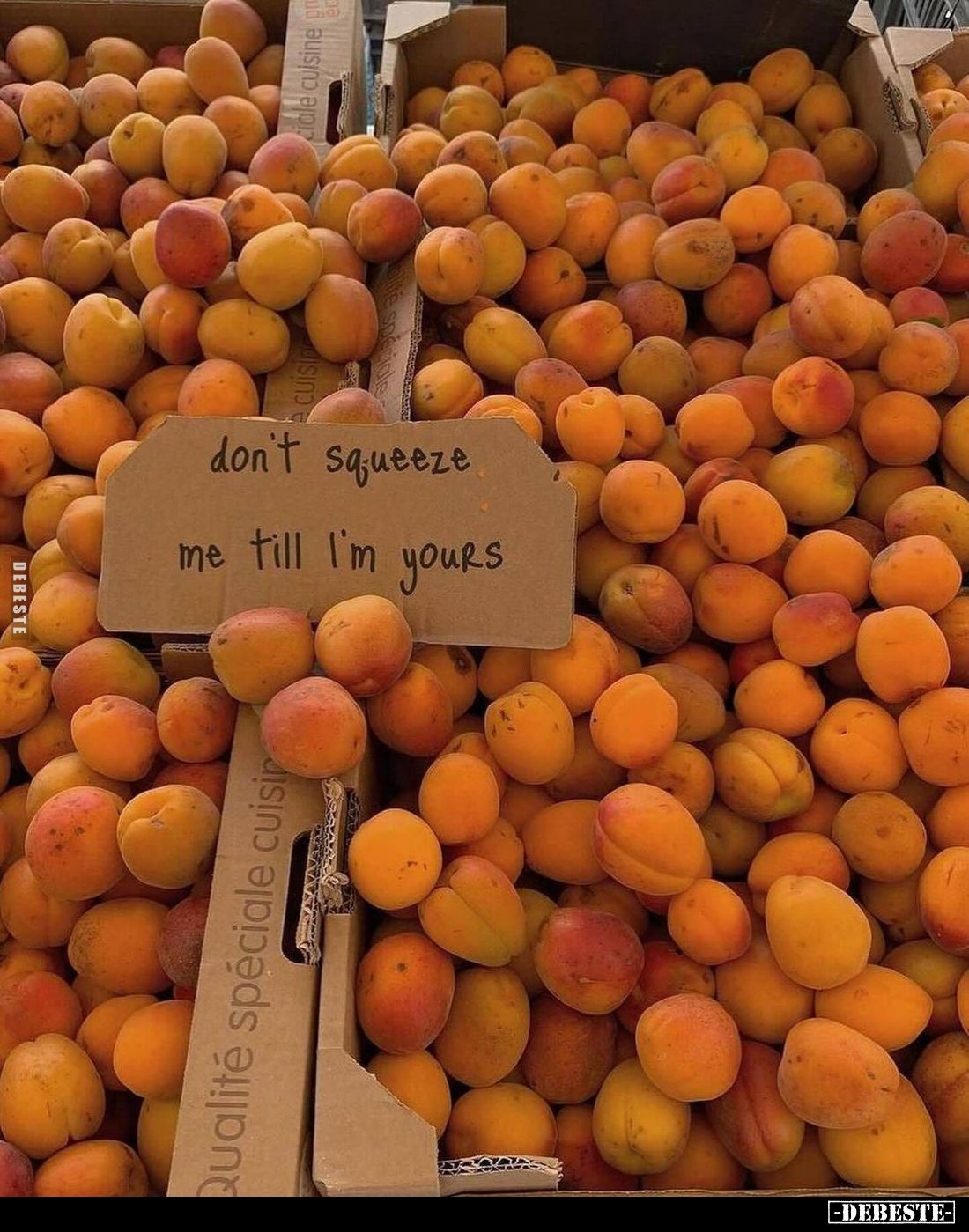  - Lustige Bilder | DEBESTE.de