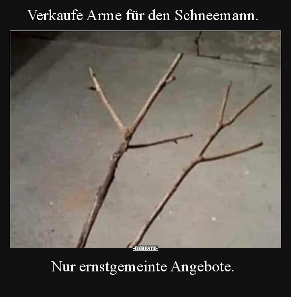 Verkaufe Arme für den Schneemann.. - Lustige Bilder | DEBESTE.de