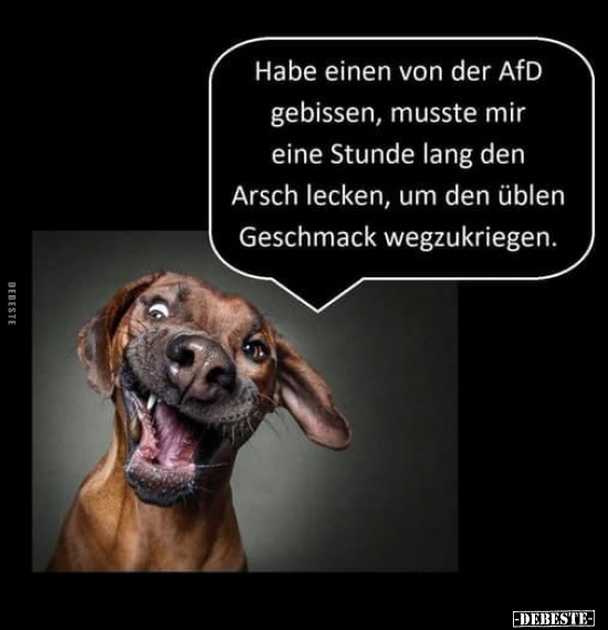 Habe einen von der AfD gebissen.. - Lustige Bilder | DEBESTE.de