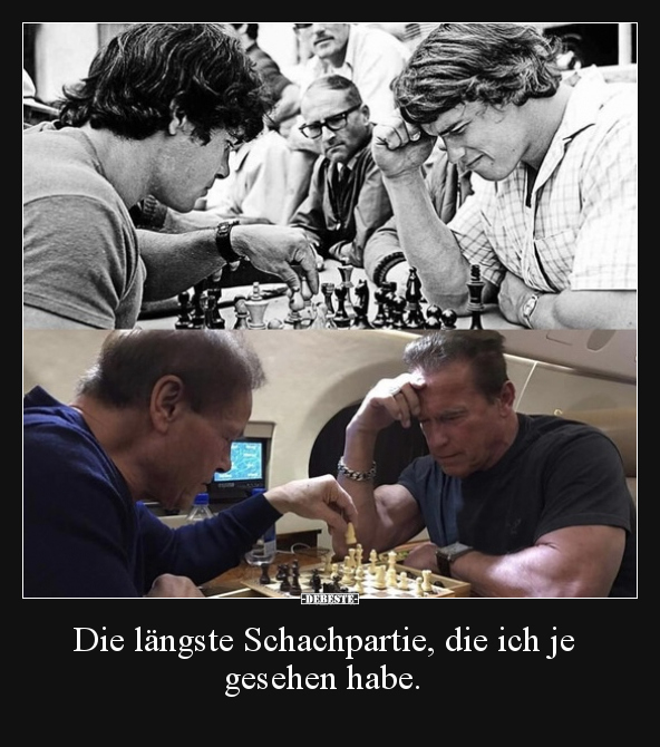 Die längste Schachpartie, die ich je gesehen habe... - Lustige Bilder | DEBESTE.de
