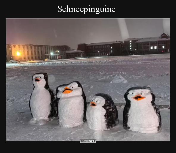 Schneepinguine.. - Lustige Bilder | DEBESTE.de